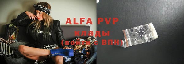 гашик Михайловск
