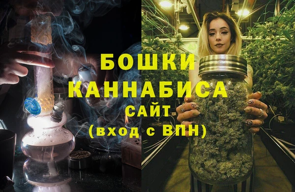 мдпв Магас