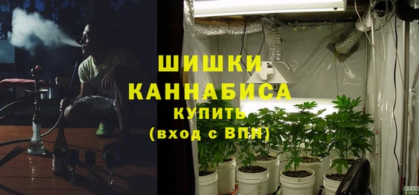мдпв Магас