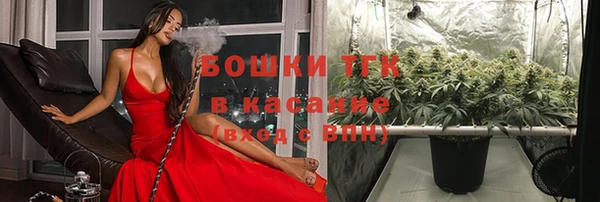 мяу мяу мука Мегион